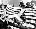 Flag of Brookings, Oregon