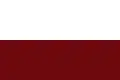 Flag of Cisneros, Antioquia