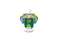 Flag of Csurgó
