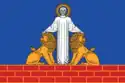 Flag of Danilovka