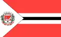 Flag of Dionísio