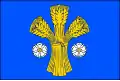 Flag of Dolní Lutyně