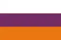 Flag of Dolores, Tolima