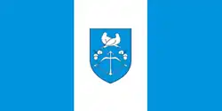 Flag of Drahichyn