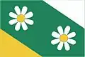 Flag of Heřmanov