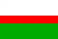 Flag of Horní Bříza