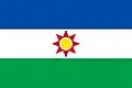 New proposed flag of Iraq by nationalists, with Qasimist influence