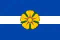 Flag of Kardašova Řečice