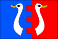 Flag of Kolšov