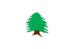 () Flag used by Lebanese Maronites in the 19th century, and first raised as a Lebanese flag in 1918 (1918–1920; variant)