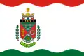 Flag of Mórichida