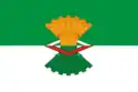 Flag of Makhnyovo