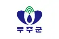 Flag of Muju