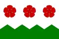 Flag of Nová Ves