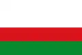 Flag of Piedras