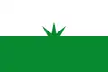 Flag of Piojó, Atlántico