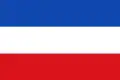 Flag of Rio Viejo