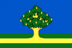 Flag of Rzhavki