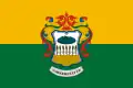 Flag of Sárkeresztúr