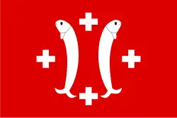 Flag of Salm