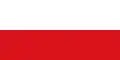 Flag of San Carlos, Antioquia