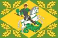 Flag of San Giorgio Bigarello