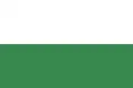 Flag of San Luis, Tolima