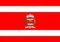 Flag of Sertaneja