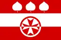 Flag of Slaník