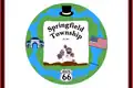 Flag of Springfield Township