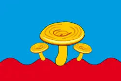 Flag of Sunsky District