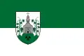 Flag of Szőc