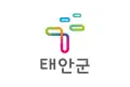 Flag of Taean