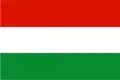 Flag of Tona, Santander