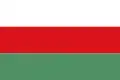 Flag of Venadillo