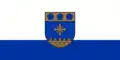 Flag of Viļaka Municipality