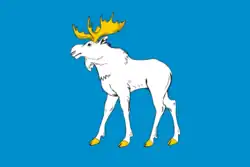 Flag of Yoshkar-Ola