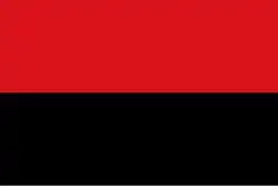 Flag of Zoutleeuw