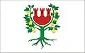 Flag of Międzychód