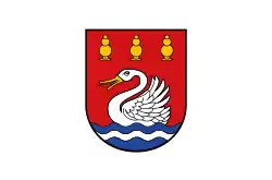 Flag of Cölpin