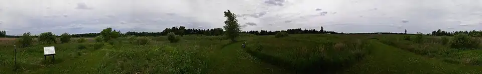 100px