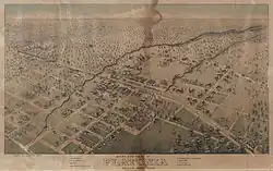 Flatonia in 1881