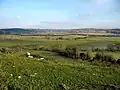 Flemingston Moor