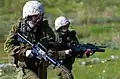 Model 653 Carbines in the IDF.