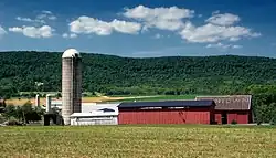 Farm in Rauchtown