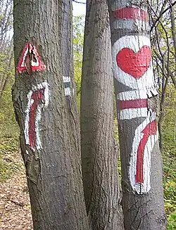 Trail marcation