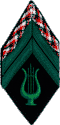 Insigne de manche of a caporal of "MLE" (Field Drumline)