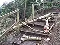 Storm Eunice fells dead birch across fence, February 2022