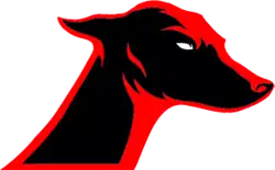 Team logo