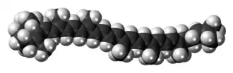 Space-filling model of the γ-carotene molecule